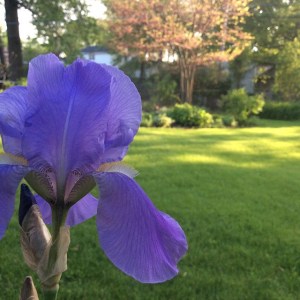 1509257_10153317837797008_796073388637867216_n