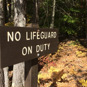 c78c39ae-33fd-4247-9638-0d25a086e39a